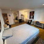 Rent 1 bedroom apartment in brussels