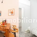 Rent 4 bedroom apartment of 145 m² in Cremona