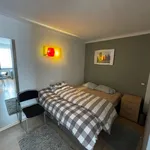 Huur 1 slaapkamer appartement van 50 m² in Antwerpen