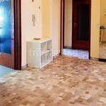 Rent 4 bedroom apartment of 95 m² in Milan