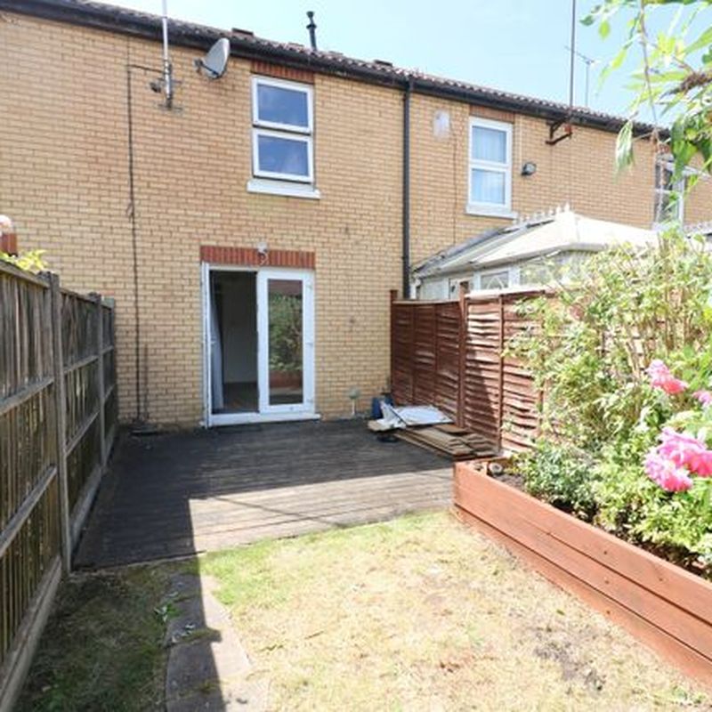 Terraced house to rent in Ludwick Way, Welwyn Garden City AL7 Hall Grove