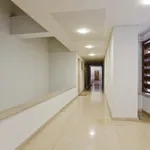 Rent 1 bedroom apartment in Lisbon