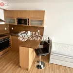 Rent 1 bedroom apartment of 33 m² in Brno