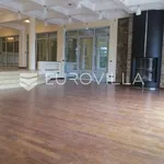 Rent 7 bedroom house of 1000 m² in Zagreb