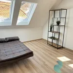 Rent 2 bedroom apartment of 43 m² in České Budějovice