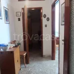 Rent 3 bedroom apartment of 110 m² in Taranto