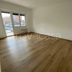 Rent 3 bedroom apartment of 100 m² in Treviso