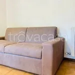 Rent 1 bedroom apartment of 45 m² in Ponte San Pietro