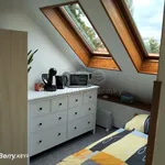 Rent 1 bedroom apartment of 20 m² in Příbor