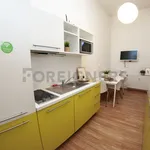 Rent 1 bedroom apartment of 10 m² in Brno