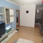 Rent 2 bedroom apartment of 48 m² in Mladá Boleslav