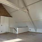 Rent 1 bedroom apartment in Mechelen