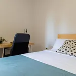 Rent 8 bedroom apartment in Valencia