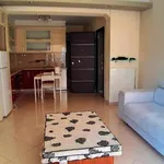 Rent 1 bedroom apartment of 55 m² in Municipal Unit of Tripoli