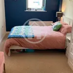 Rent 1 bedroom flat in Leicester