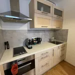 Pronajměte si 1 ložnic/e byt o rozloze 50 m² v Prague