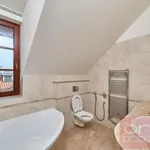 Rent 3 bedroom apartment of 93 m² in Capital City of Prague