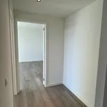 Rent 1 bedroom apartment in Leuven