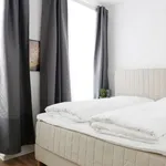 Rent 2 bedroom apartment of 70 m² in berlin