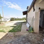 Rent 2 bedroom house of 60 m² in Mazara del Vallo