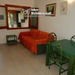 Rent 1 bedroom apartment of 50 m² in Palau