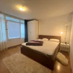 Huur 2 slaapkamer appartement van 95 m² in Amsterdam