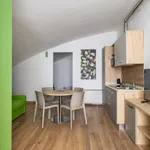 Rent 1 bedroom apartment of 581 m² in Bologna