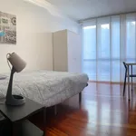 Alquilar 5 dormitorio apartamento en Bilbao