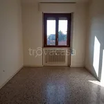 Rent 3 bedroom apartment of 70 m² in Alessandria