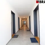 Rent 1 bedroom apartment of 28 m² in Brno