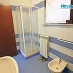 Rent 2 bedroom apartment of 32 m² in Novara