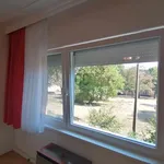 Rent 1 bedroom apartment of 36 m² in Pécs