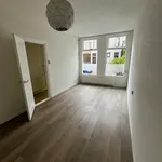 Huur 3 slaapkamer appartement van 65 m² in Frans Halsbuurt