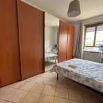 Rent 1 bedroom apartment of 16 m² in Turin