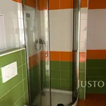 Pronajměte si 1 ložnic/e byt o rozloze 41 m² v Písek