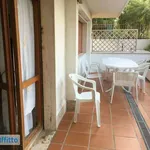 Rent 3 bedroom apartment of 75 m² in Silvi