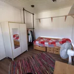 Miete 3 Schlafzimmer wohnung von 82 m² in Bonn