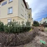 Rent 3 bedroom apartment of 74 m² in Sopot