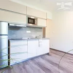 Rent 1 bedroom apartment of 20 m² in Brno