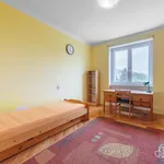 Rent 2 bedroom apartment of 53 m² in Sokolov