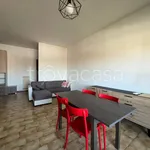 Rent 1 bedroom apartment of 45 m² in Piacenza