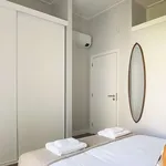 Rent 1 bedroom apartment in lisbon