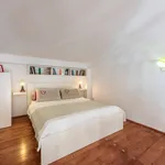 Rent 1 bedroom apartment of 40 m² in Florence