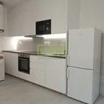 Rent 2 bedroom apartment in Brno