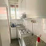 Rent 3 bedroom apartment of 75 m² in Bologna