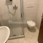 Rent 2 bedroom apartment of 45 m² in Viadana