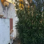 Appartamento in in affitto da privato a Centola via Sant'Agata Sud, 19, da privato, vista mare, vicinanze negozi - TrovaCasa