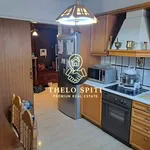 Rent 3 bedroom apartment of 140 m² in Pikrodafni