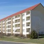 Rent 3 bedroom apartment of 74 m² in Sondershausen