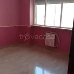 Rent 3 bedroom apartment of 120 m² in Taranto